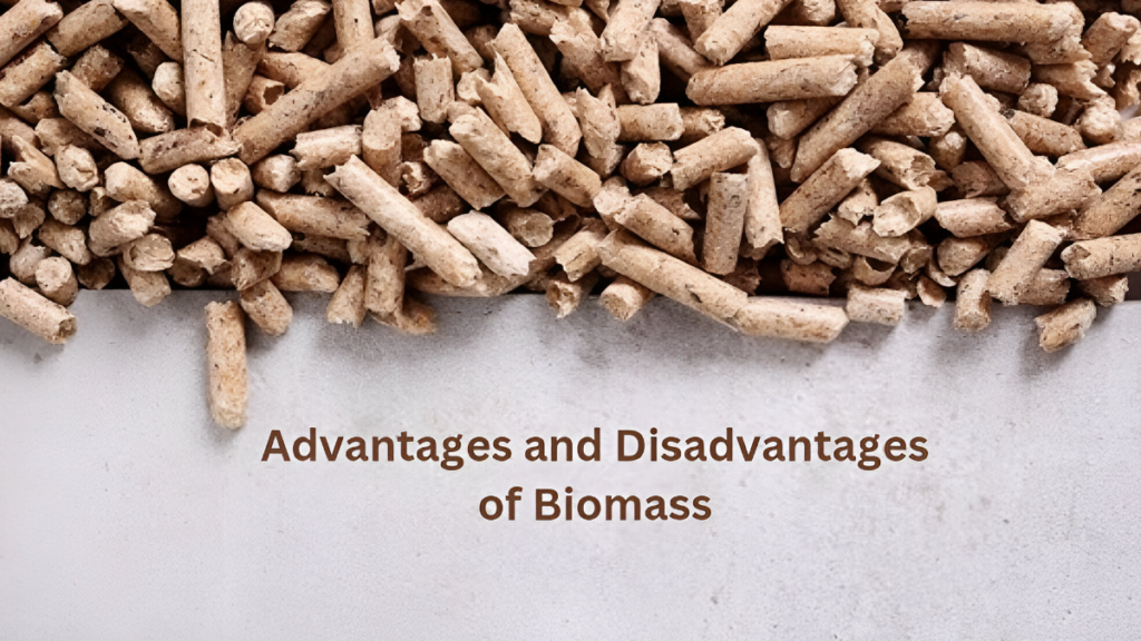 advantages and disadvantages of bbiommass